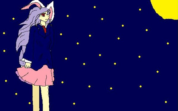 月うさぎの見る先に