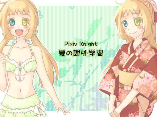 【ピク騎士】思いっきり楽しみますよ！【夏課外参加】
