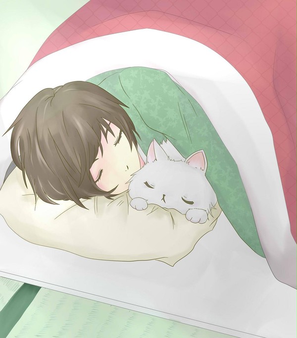 菊とネコさん