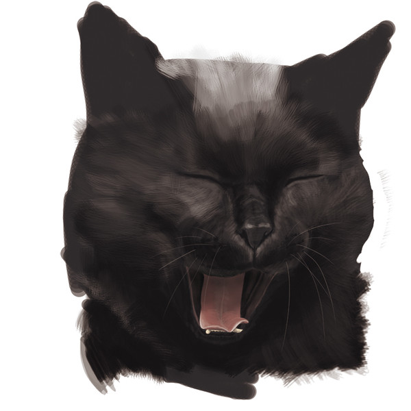 あくびねこ