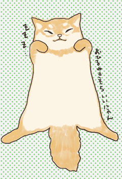 うちの猫