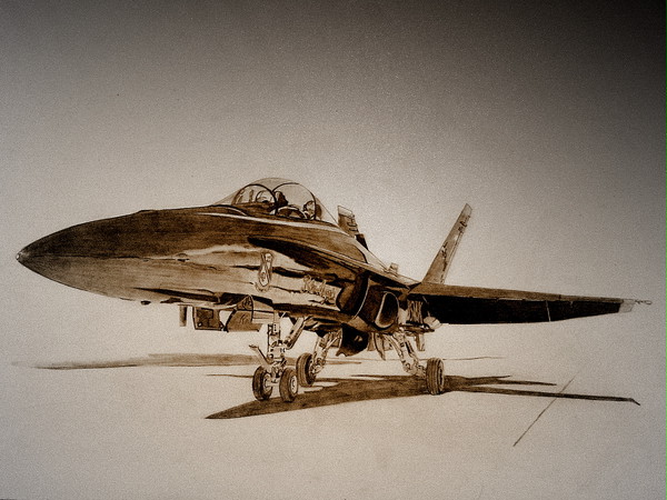 Blue Angels F/A-18 Hornet