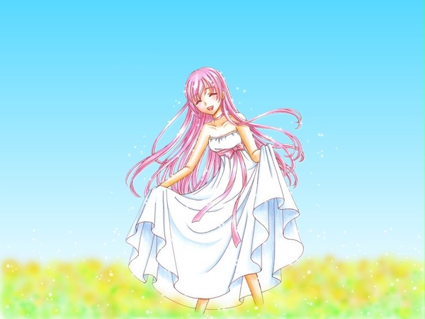 ひかりの花