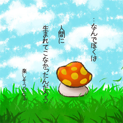 きのこの想い