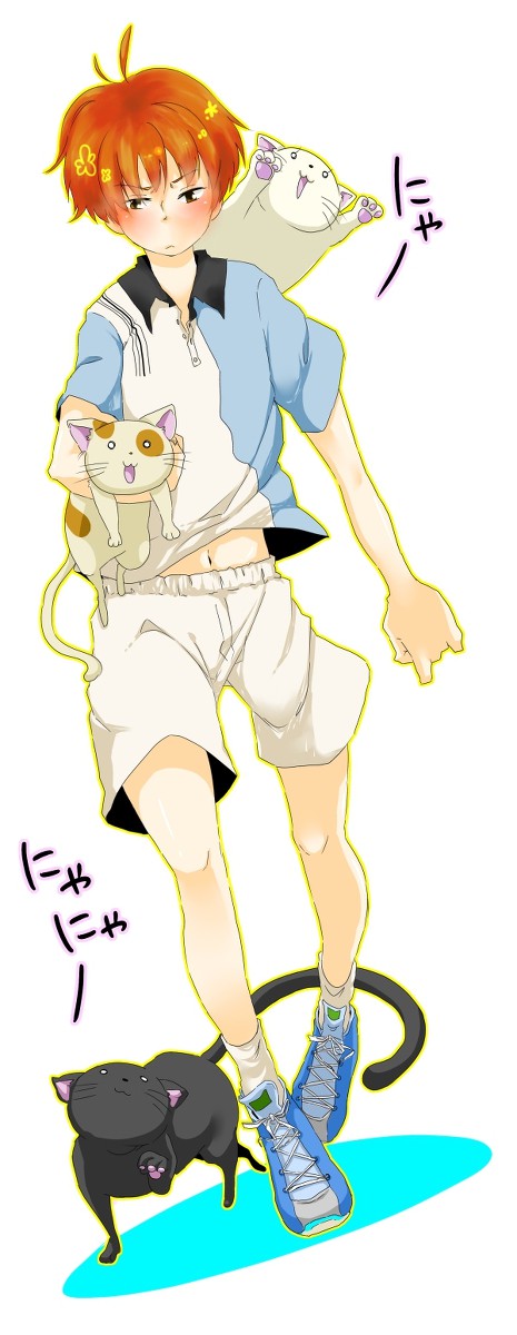 猫くじょー