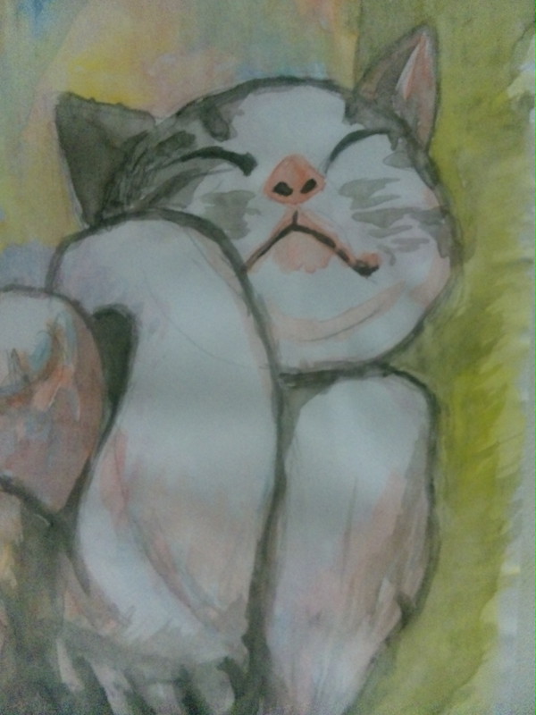 わしゃー猫じゃよ