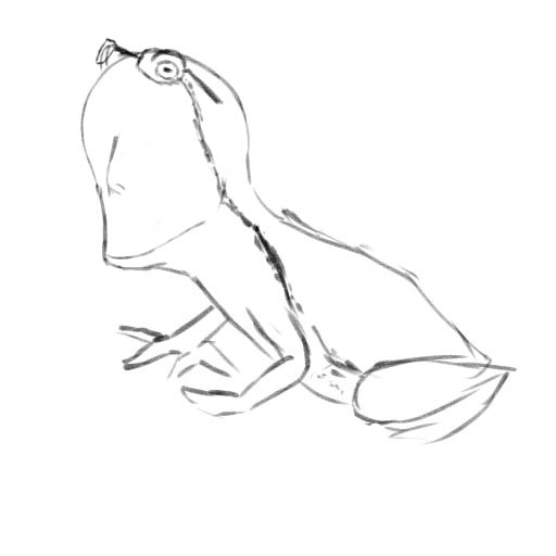 かえるちゃん３