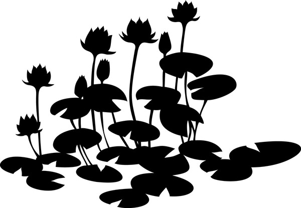 蓮花