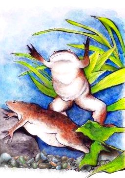 つめがえる