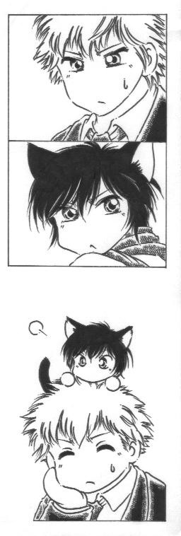 霧生とにゃんこ