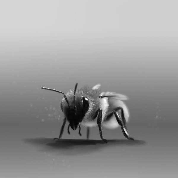 ハナバチ