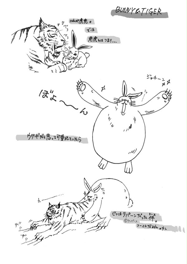 BUNNY&TIGER【ある意味腐？】