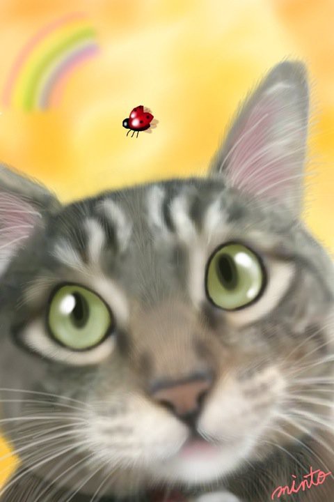 iPhoneで描いたにゃん(*^_^*)