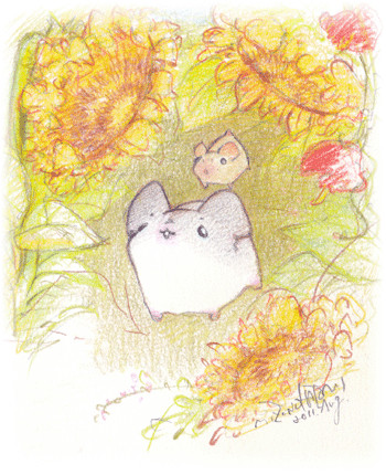 ひまわりをさがして