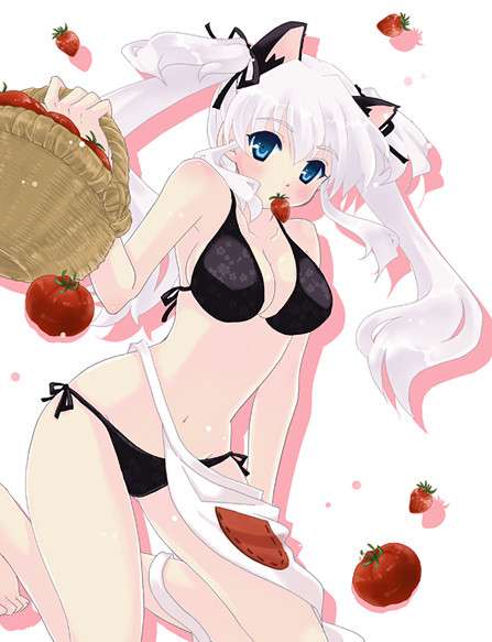 新刊表紙