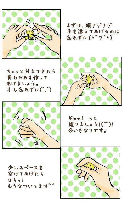 ウッドマニュアル