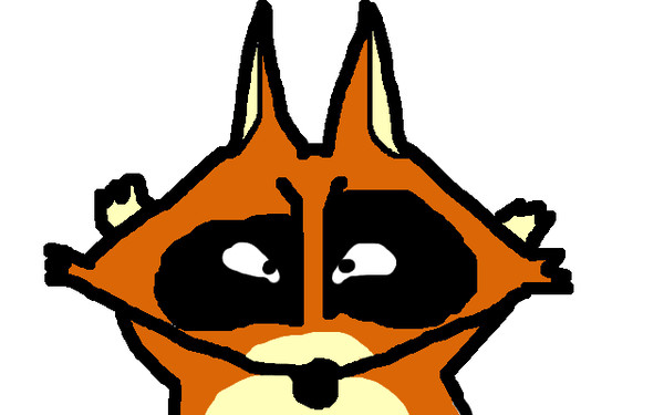 アライグマくん2