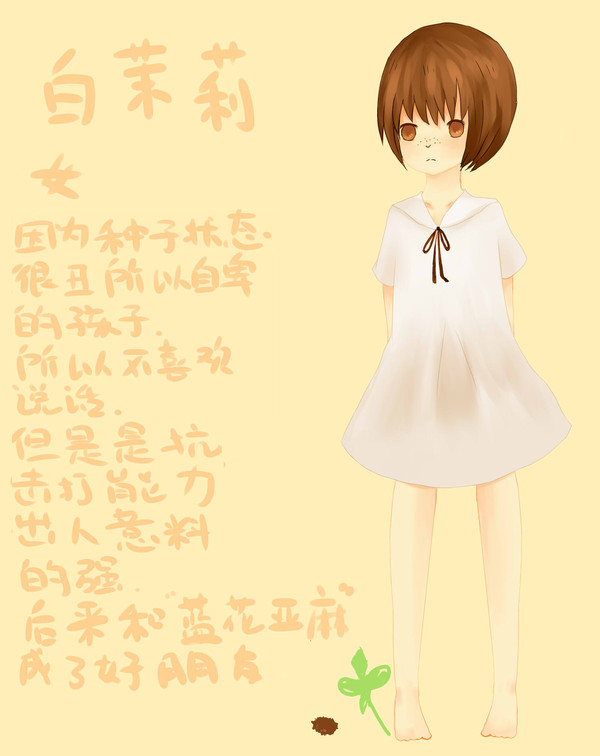 白茉莉
