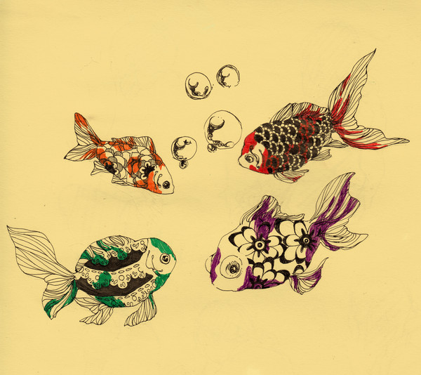 金魚