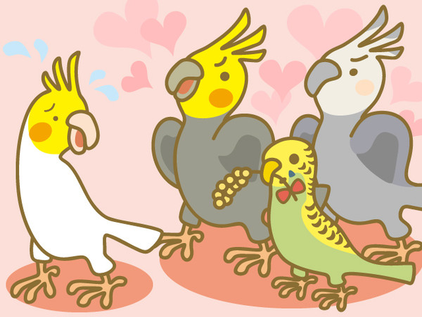 ボクの愛を受け取ってよ♪