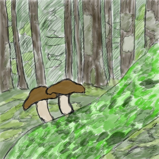 きのこ