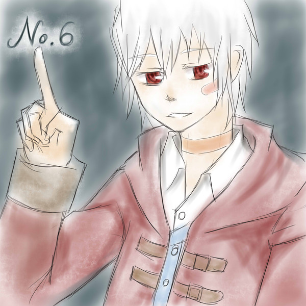 【NO.6】紫菀