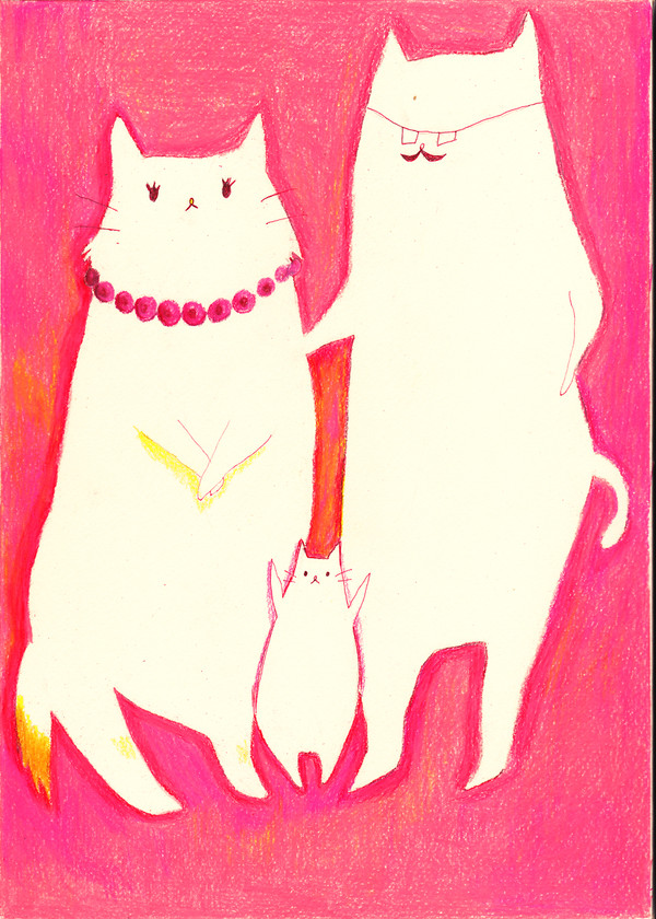 猫親子