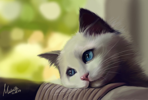 萌猫猫的幻想