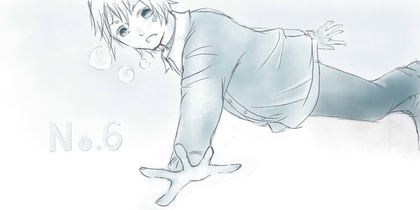 【NO.6】紫苑