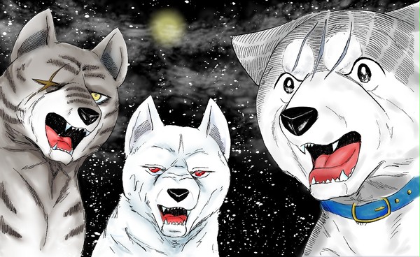 ginga01
