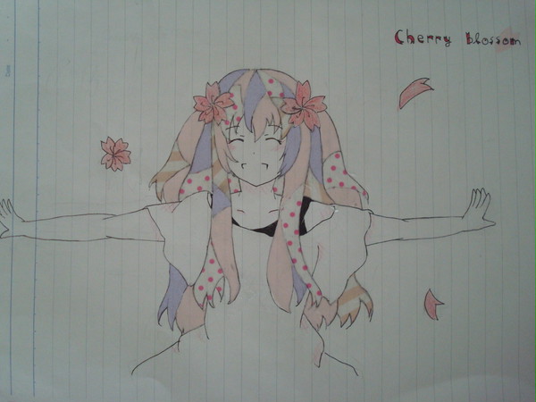 cherry blossom