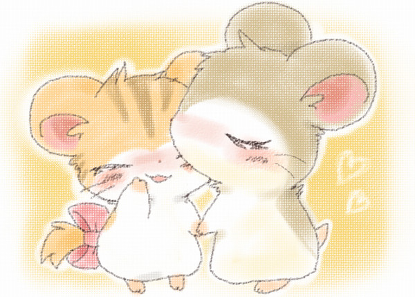 のぴとら