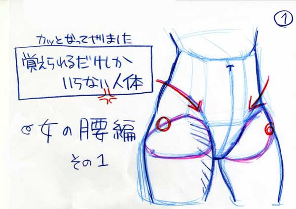 女性の腰の描きかた その1