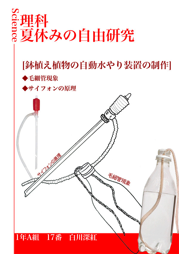 完全なる自由を求めて自由研究に挑んだが無理だった。