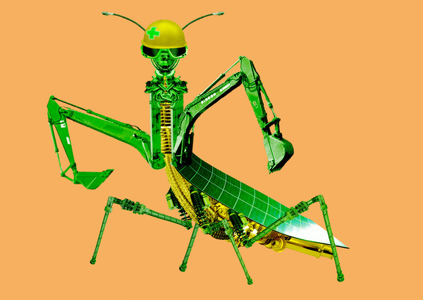Mantis