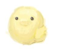 ひよこ