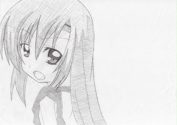 ヒナギク