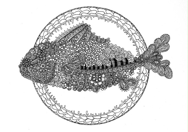 大きな魚