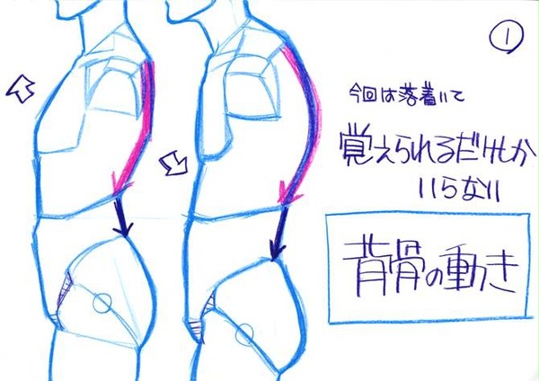 背骨の動き