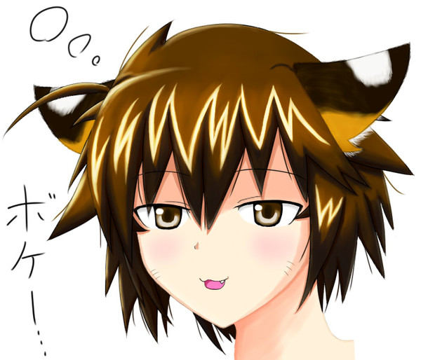 初めてのSAI