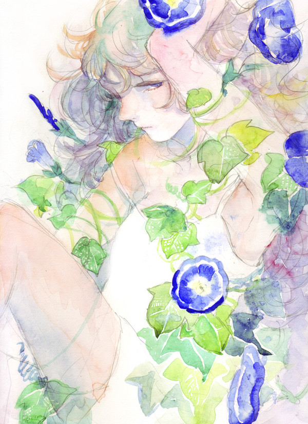 朝顔