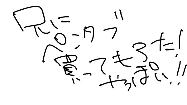 念願…。