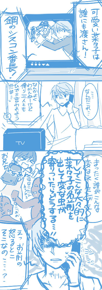 鋼のシスコン(ｒｙ