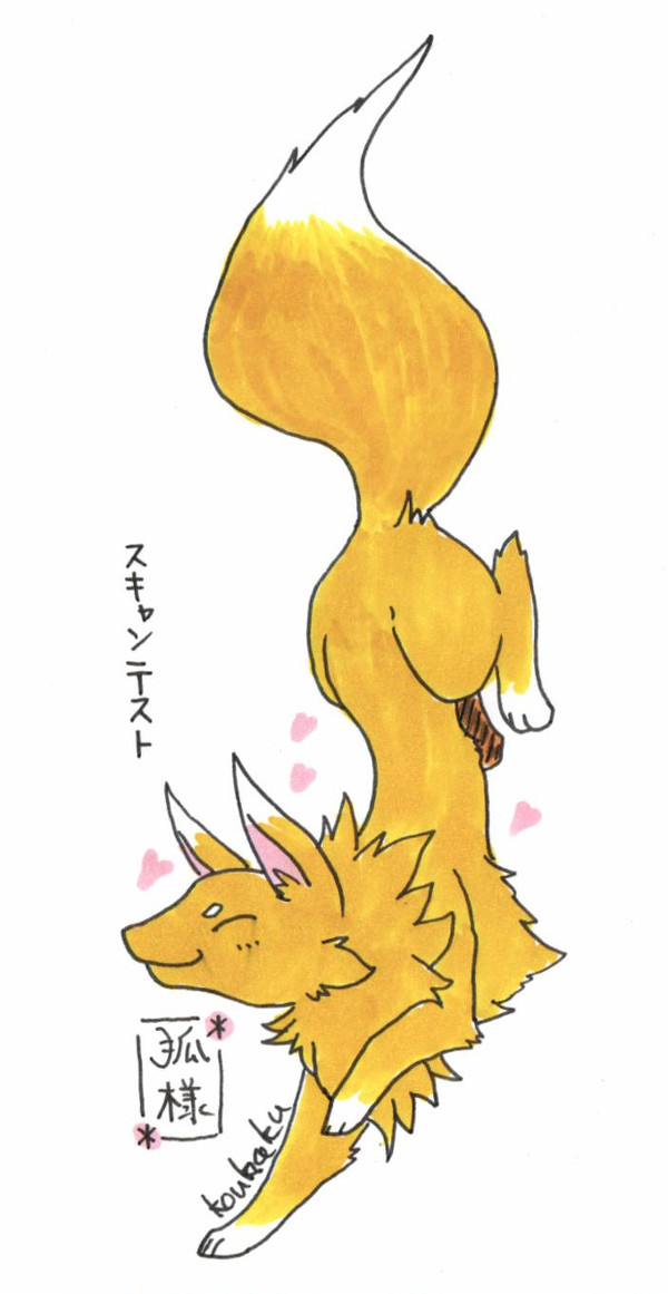 スキャンてすと