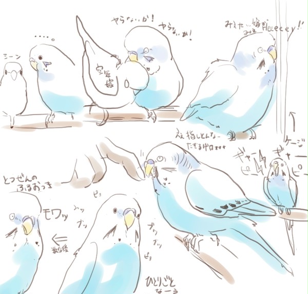 ペットは飼い主に似る