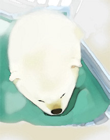 いぬ