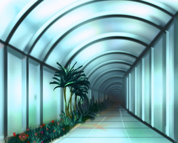 植物のある通路
