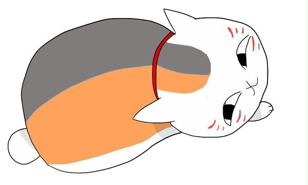 にゃんこ先生