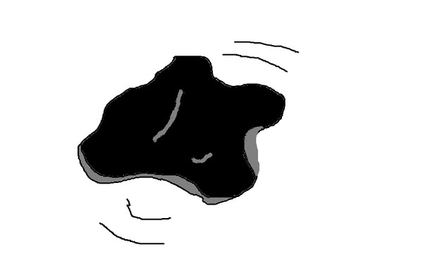 フライングきくらげ