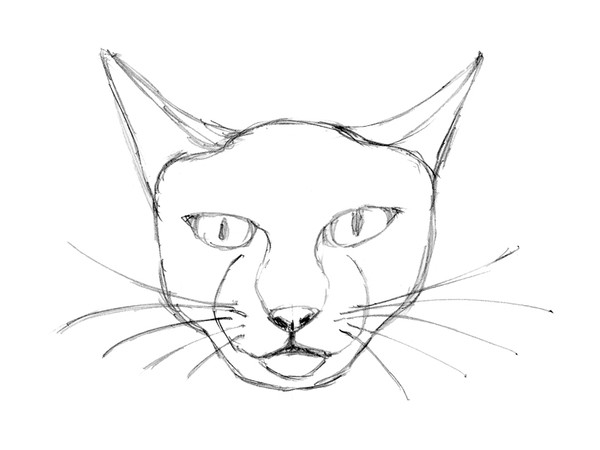 ねこ～描く練習